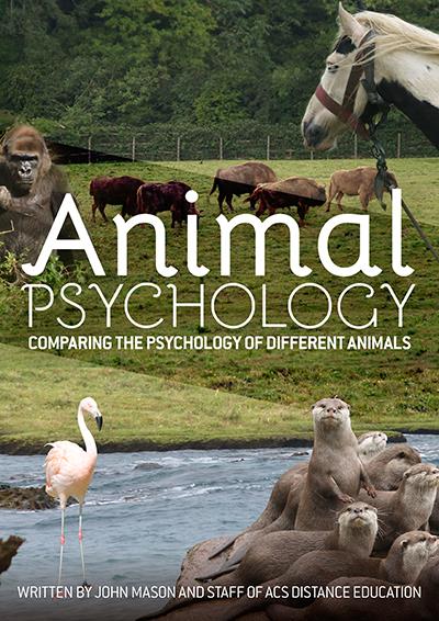 animal-psychology-pdf-ebook-main