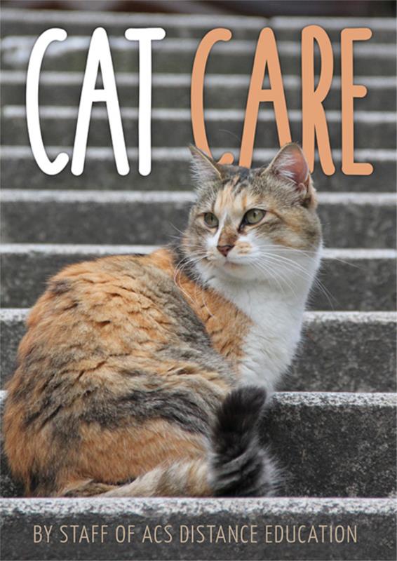 cat-care-pdf-ebook-main